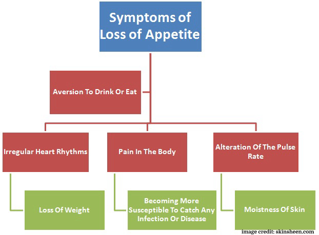 Symptoms Of Loss Of Appetite 