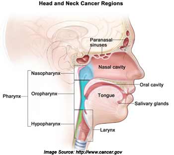 Head and Neck Cancers Symptoms