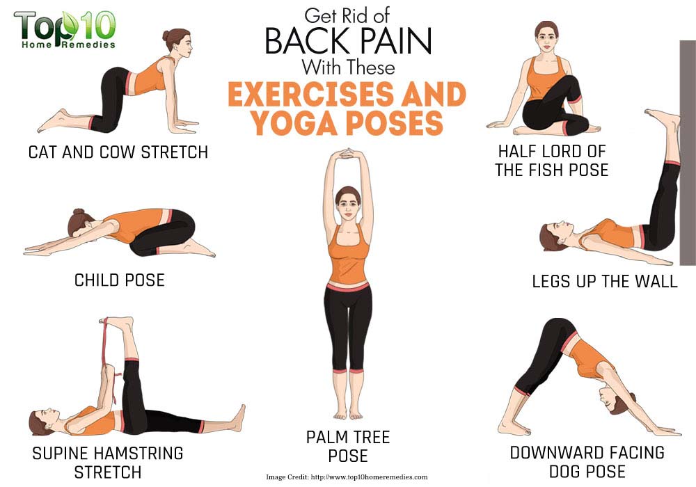 office yoga for back pain