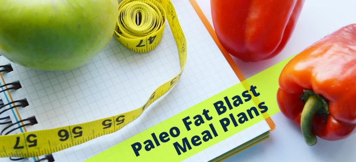 Fat Blaster Diet Plan