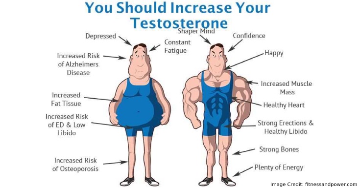 Does Working Out Affect Testosterone Levels