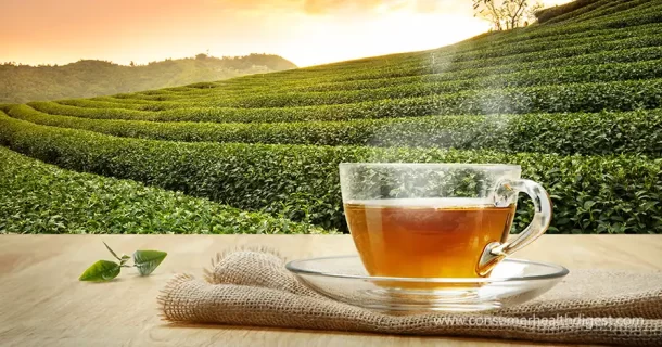 Herbal Teas – Can Help With Menopause Symptom Relief