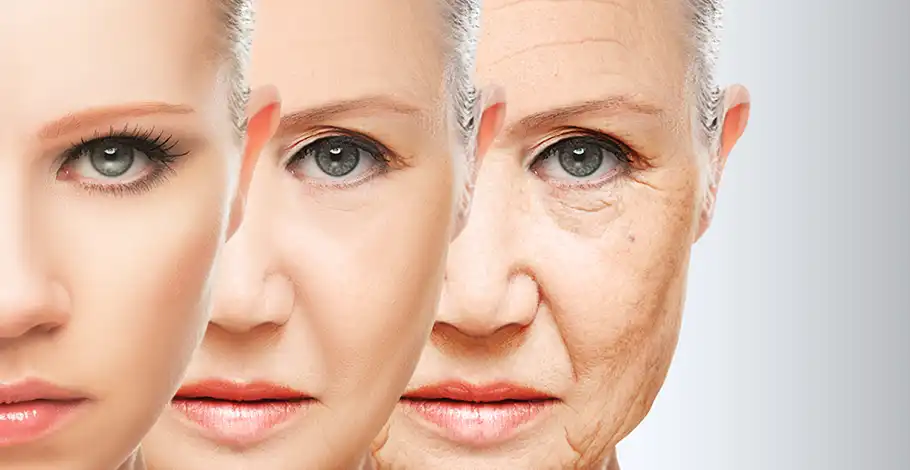 Essential Anti-Aging Ingredients for Skin Health – Must try!