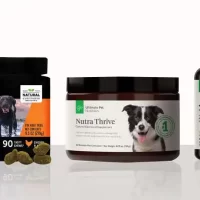 best-joint-health-supplements-for-dog