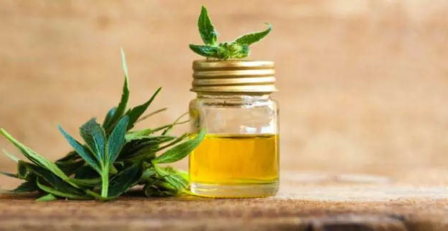 Expert Reviews of the Best CBD Oil Products – Must Read!