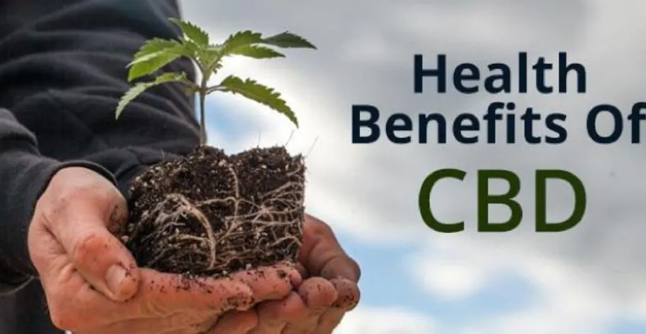 What Are The Health Benefits Of CBD Oil? – Do You Know!