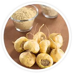 Maca Root