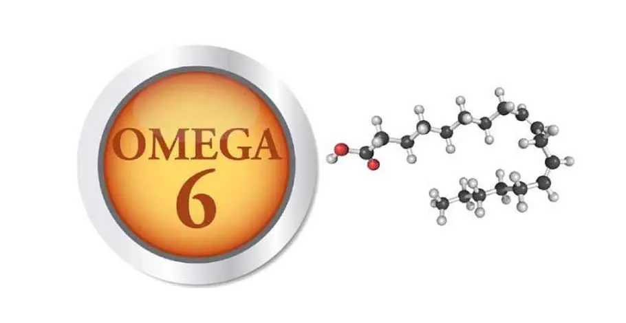 Omega 6: A Complete Overview Of Omega 6