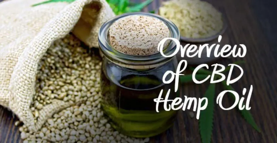 An Overview of CBD Hemp Oil – Benefits, Uses & Much More!