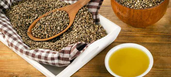 Top 10 Side Effects of Hemp Seed – Are Hemp Seeds Good for You?