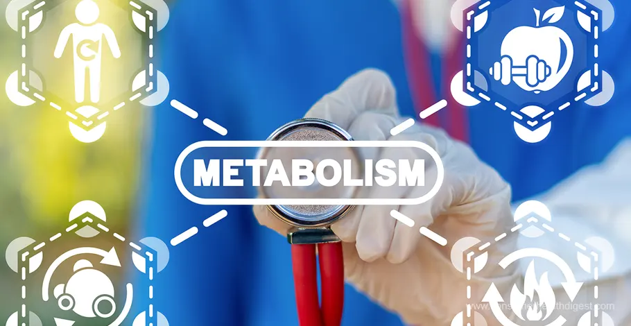 How To Increase Your Metabolism: Top 3 Methods